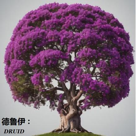 德鲁伊是啥