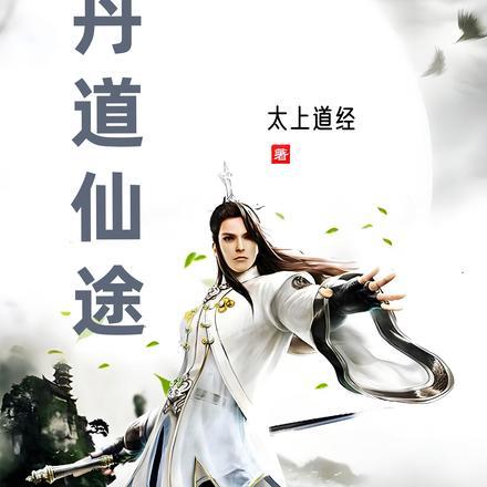 丹道仙途TXT百度