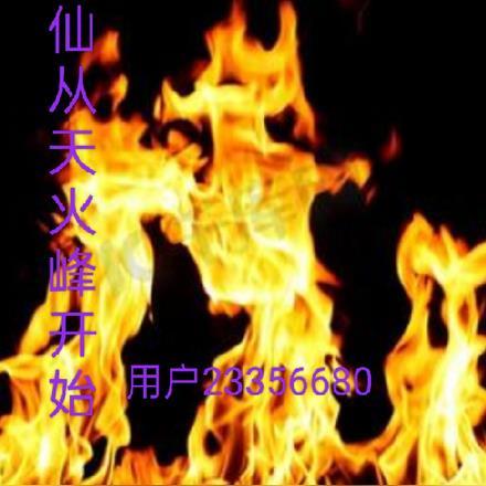 家族修仙从天火峰开始王