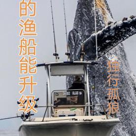我的战舰能升级
