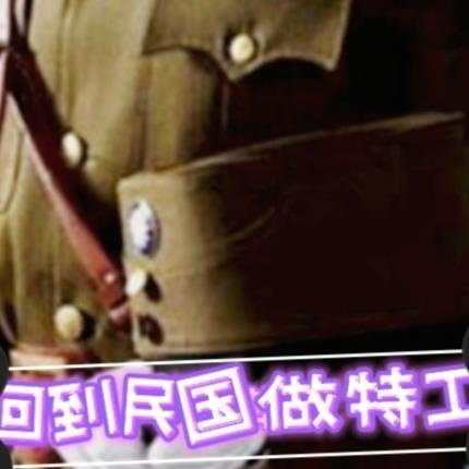 回到民国做特工翻书忘忧愁