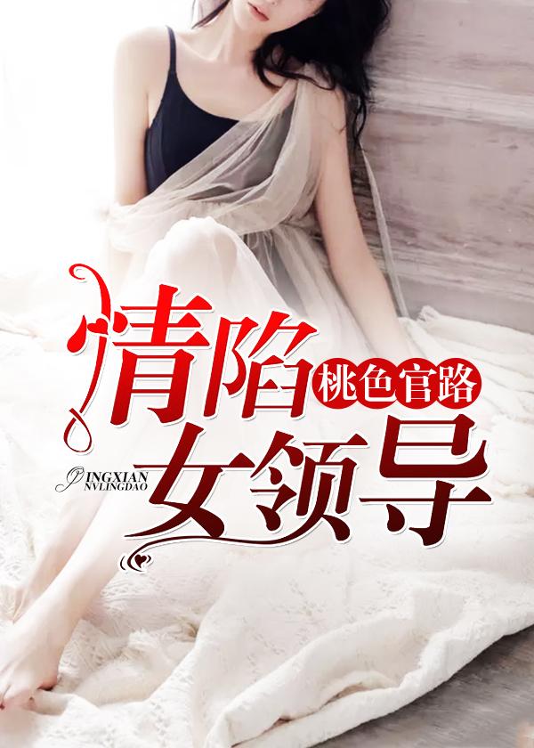 我的官途生涯