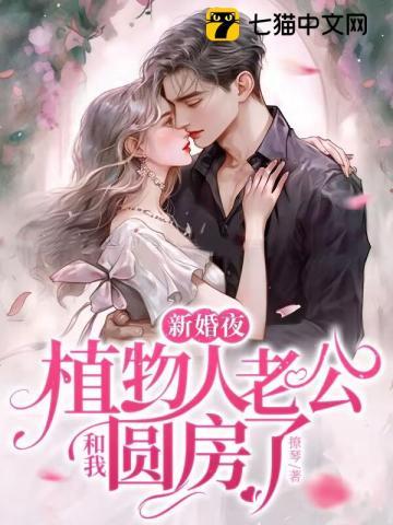 新婚之夜