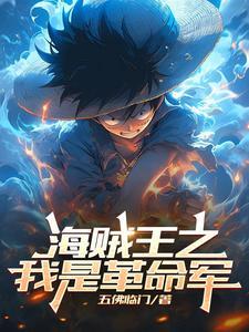 海贼王之我是革命军为什么不能看