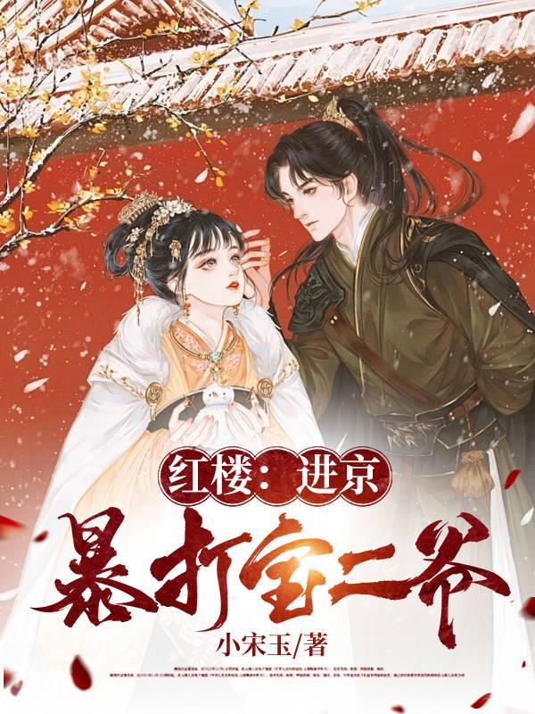 红楼进京暴打宝二爷(小宋玉)