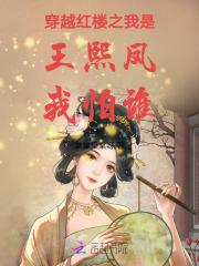 穿越红楼之我是王熙凤我怕谁 棠棠棠棠呀