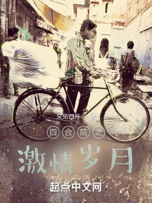 四合院之激情岁月TXT XT