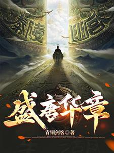 盛唐风华作者