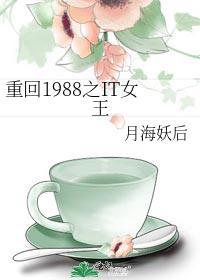 重回1988之IT女王有男主么