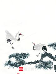 恒界境界划分