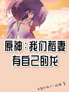 原神的稻妻在哪里
