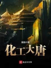 大唐化工有限公司总经理