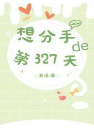 想分手的327天番外篇最新章节更新