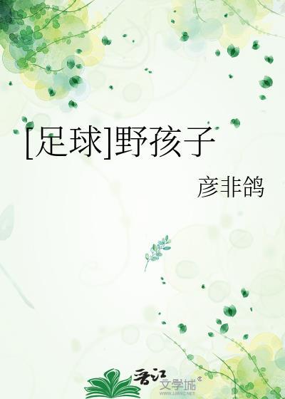 足球野孩子txt