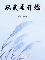 从武圣开始 作者能优斯特