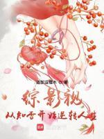 穿越综影视知否