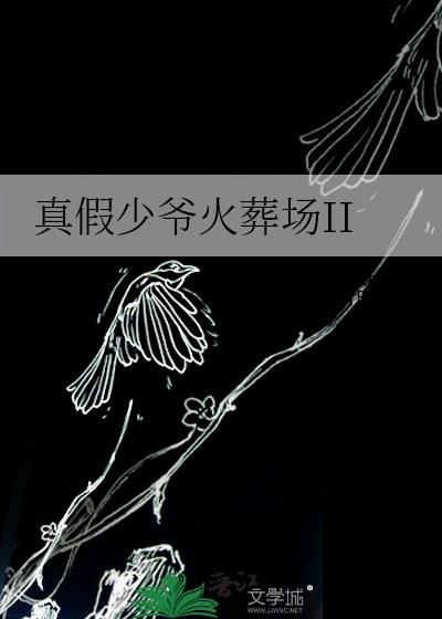 真假少爷火葬场II 作者达不溜歪