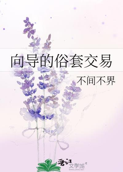 向导的俗套交易简介