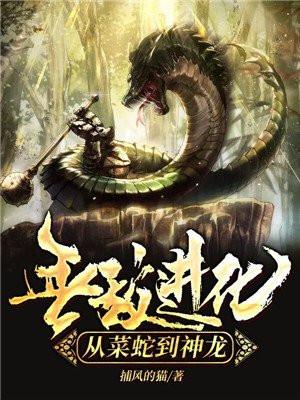 无敌进化系统