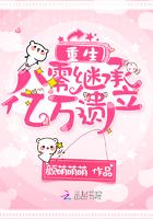 重生八零继承亿万遗产 颜萌萌萌 著