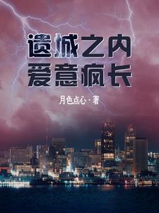 遗忘之城百科