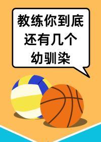 打排球每个人负责什么
