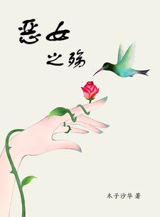 恶女详细解说