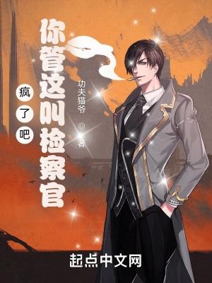 你管这叫检察官首