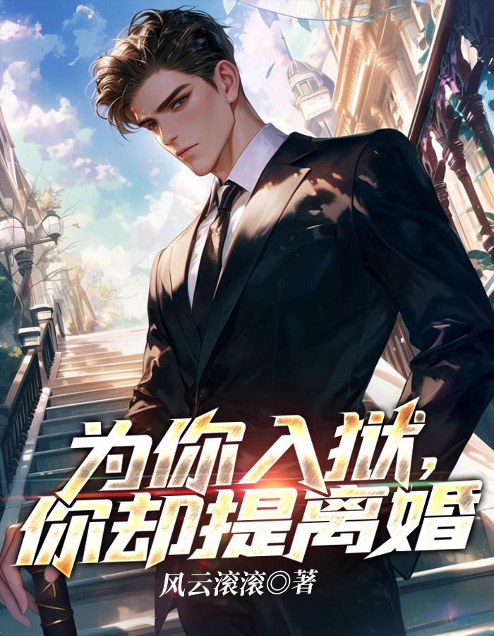 为你入狱你却提离婚简介