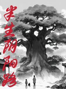八字半阴半阳之人