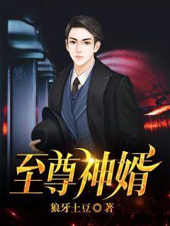 至尊神婿?