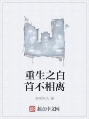 白首不相离免费阅读玄易