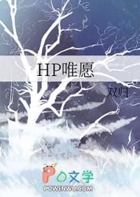 哈利波特hp