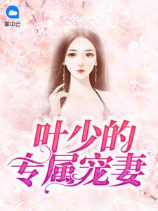 叶少宠宠宠