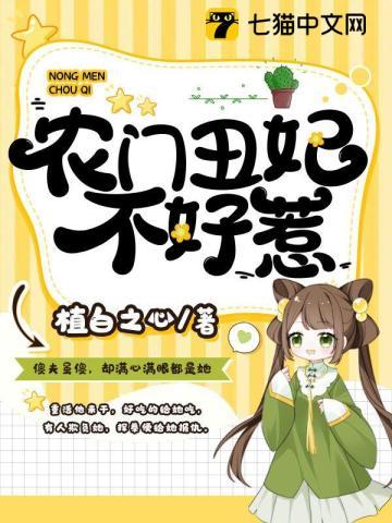 农门丑 妻